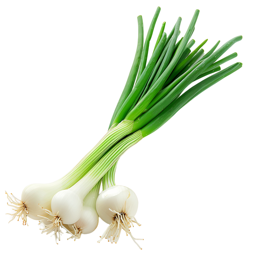 Spring Onion, 1 Kg