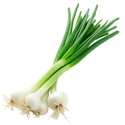 Spring Onion, 1 Kg