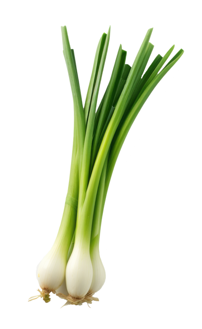 Spring Onion, 1 Kg